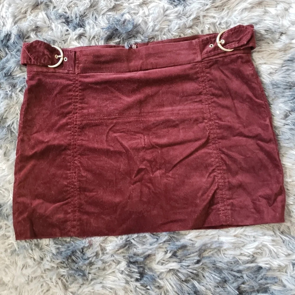 Zara Trafaluc Velvety Skirt - Picture 1 of 6